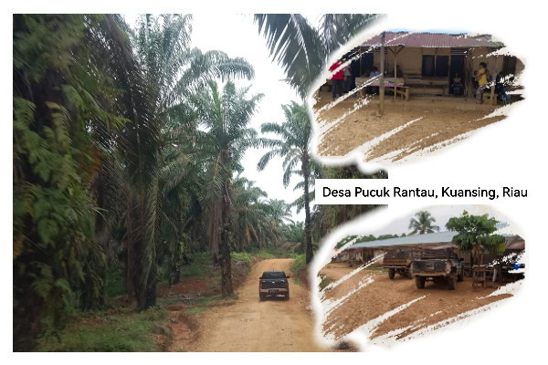 Dibantah Tim KSP Turun ke Kuansing Urus Sertifikat Lahan Warga