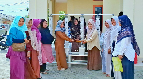 Hidroponik-Kubang-Raya.jpg