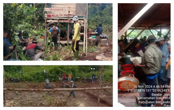 Masyarakat Adat Suku Pandan, Siap Garap 12.000 Ha di Desa Tasik Tebing Serai