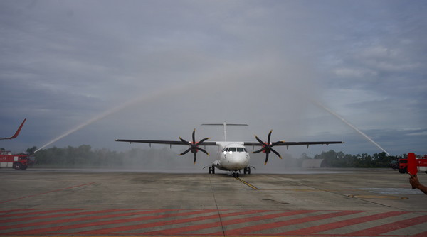 Wings_Air.jpg