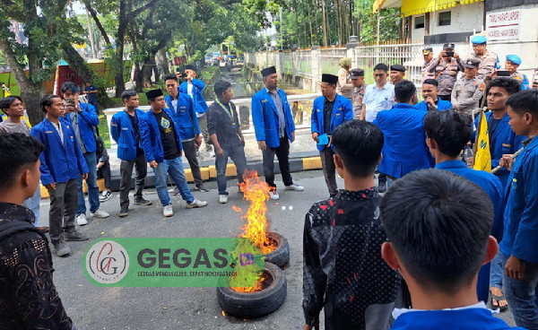 Demonstran Desak DPRD Selesaikan Dugaan 1,9 Juta Hektare Lahan Sawit Ilegal