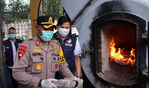 35,7 Kg Ganja Dimusnahkan Polres OKU Timur