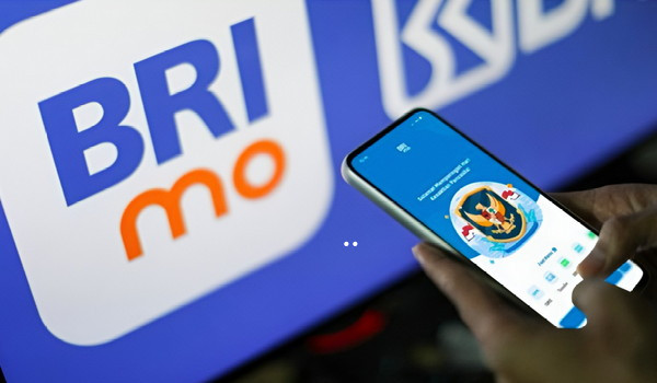 pinbrimo.jpg