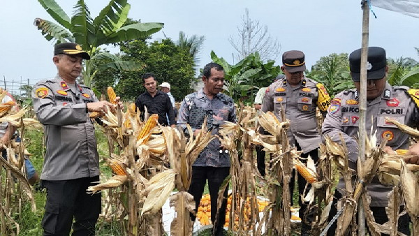 Man_Jagung_.jpg